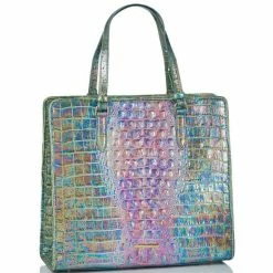 Coupon ???? BRAHMIN Delphine Collection Tia Tote Bag Visionary ⌛ -BRAHMIN Shop unnamed file 1012
