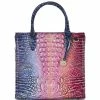 New ⭐ BRAHMIN Ombre Melbourne Collection Caroline Satchel Bag Dreamer ???? 1 New ⭐ BRAHMIN Ombre Melbourne Collection Caroline Satchel Bag Dreamer ???? -BRAHMIN Shop unnamed file 1054