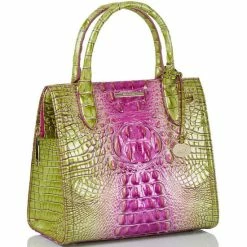 Best reviews of ???? BRAHMIN Ombre Melbourne Collection Small Caroline Satchel Bag Limeade ✨ -BRAHMIN Shop unnamed file 1184