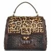 Best reviews of ???? BRAHMIN Albertina Collection Rene Satchel Bag Cocoa ???? -BRAHMIN Shop unnamed file 1920