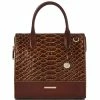 Budget ???? BRAHMIN Bellevue Collection Caroline Satchel Bag Pecan ???? -BRAHMIN Shop unnamed file 1972