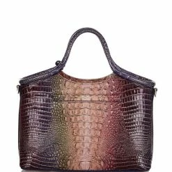 New ⌛ BRAHMIN Ombre Mini Melbourne Collection Small Elaine Crossbody Bag Autumn ⌛ -BRAHMIN Shop unnamed file 2153