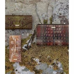 Brand new ???? BRAHMIN Melbourne Collection Veronica Wallet Pesto ???? -BRAHMIN Shop unnamed file 2534