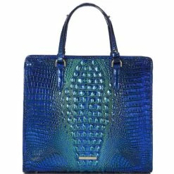 Promo ???? BRAHMIN Ombre Melbourne Collection Royalty Tia Tote Bag ????